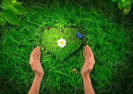 石家莊心理咨詢